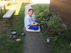 Meet your Posher, Logan